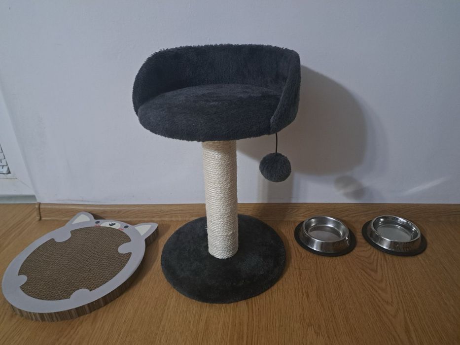 Бенгалско коте на 3 месеца заедно с неговите пренадлежности