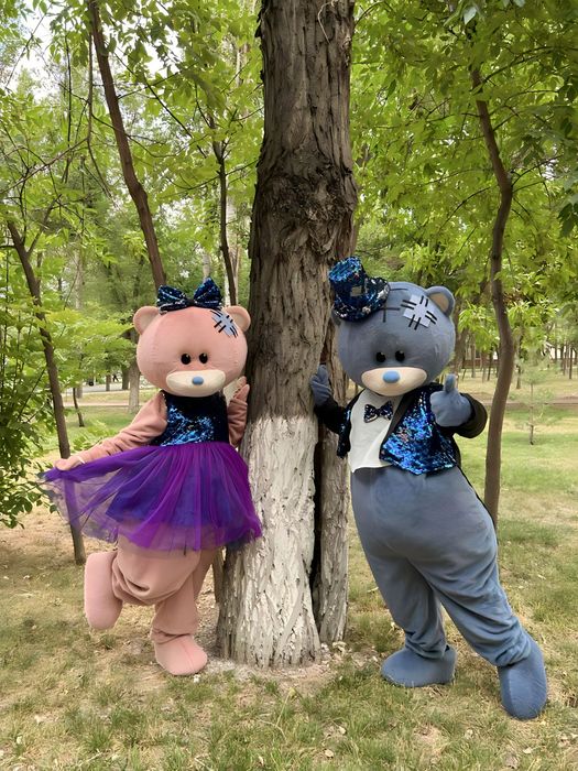 Мишка Тедди  прокат костюм