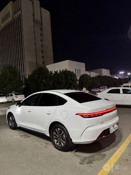 BYD chazor 55km 2 pozitiya