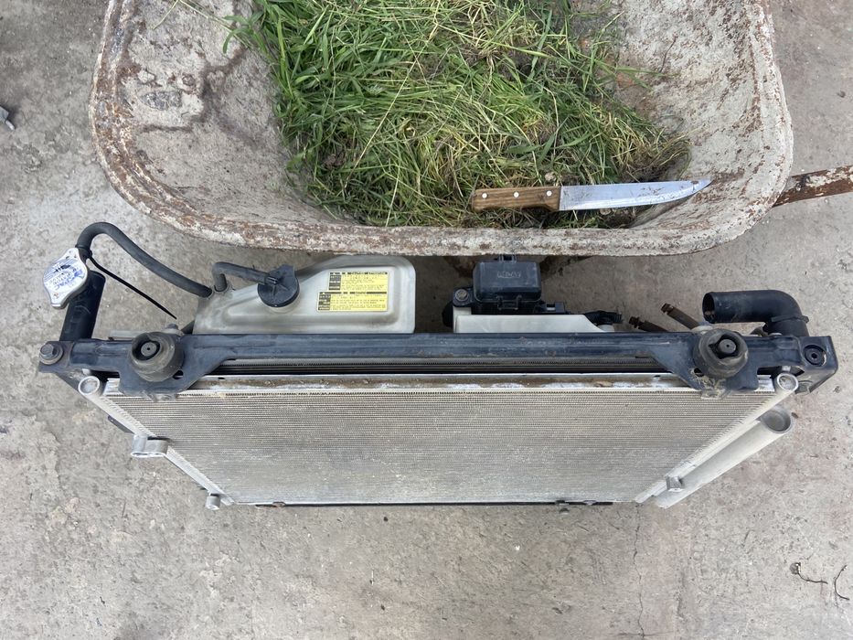 Радитор альфард