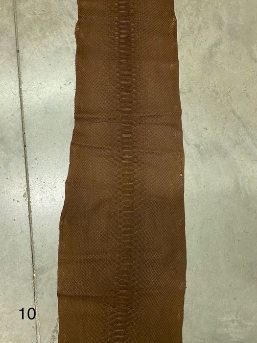 Естествена змийска кожа