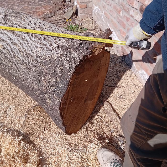 Tulpină NUC, lungime 2,50m. Preț 1600