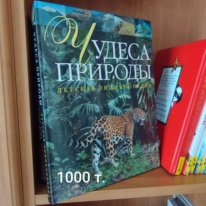 Новые детские книги.
