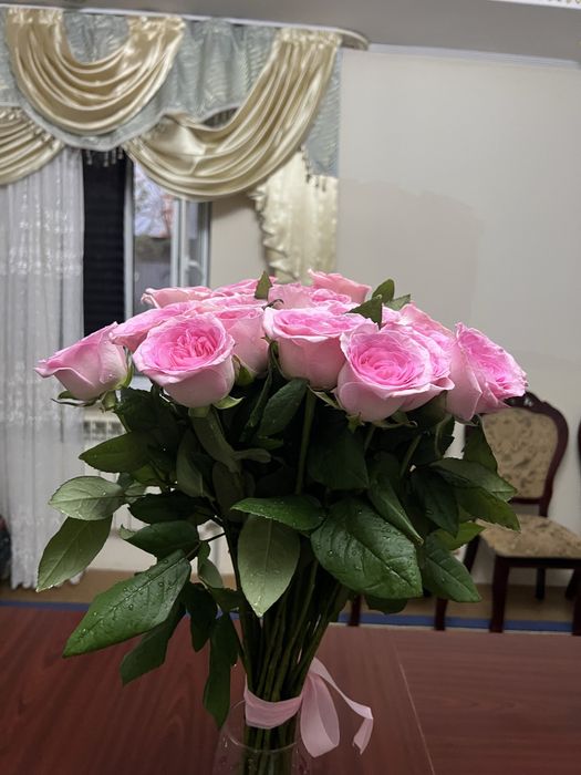 Свежие цветы розы