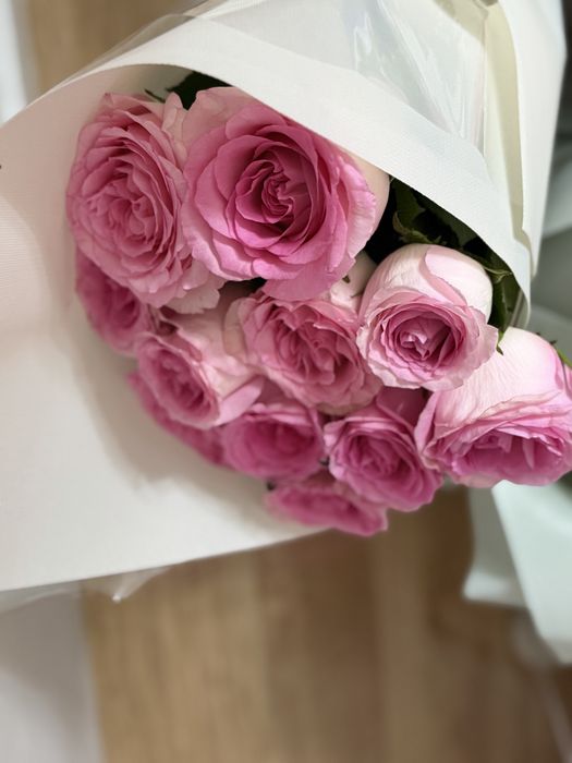 Свежые розы, розовая