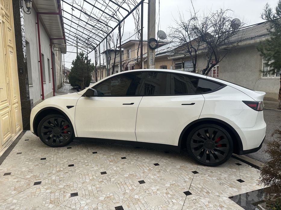 Tesla model Y Performance
