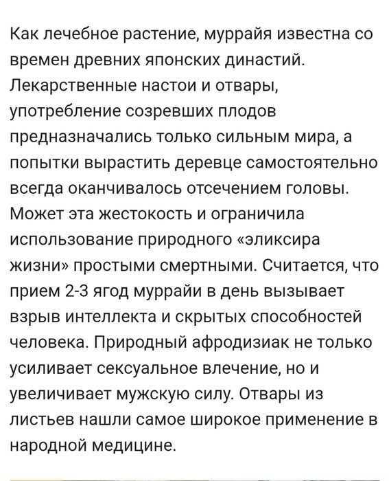 Продам  саженцы мурайи