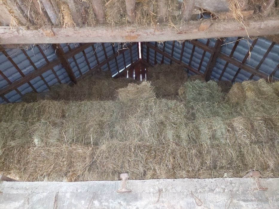 Baloti de otava cu lucerna