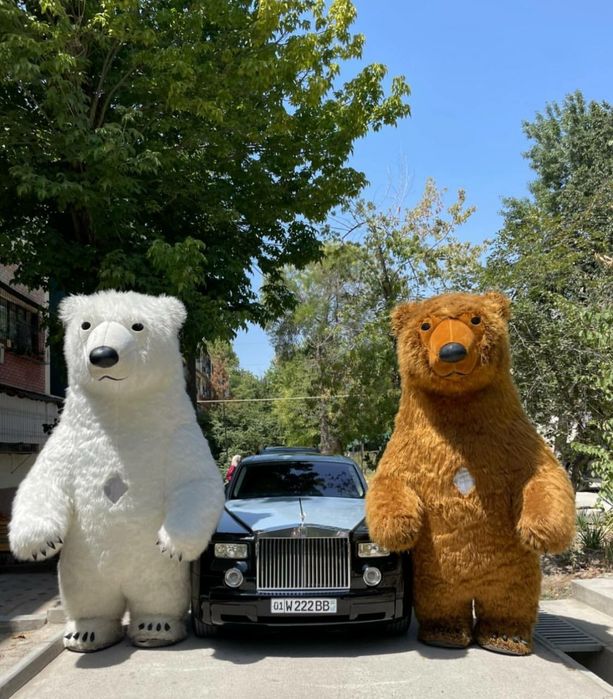 Айиклар хизмати ayiqlar xizmati