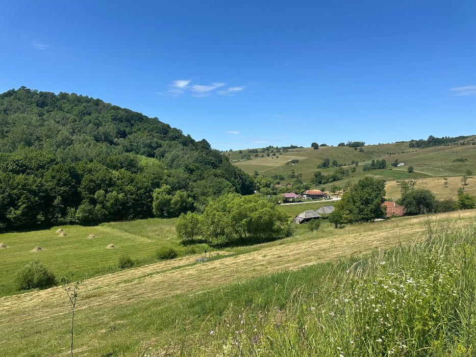 Teren intravilan de vanzare comuna Astileu sat Calatea 1.183 mp
