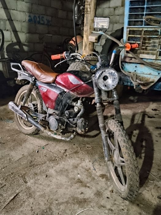 Рейсер 110 в сауле