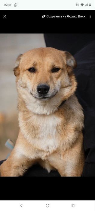 кОмпаНьеНы сТорожа ОхраНиики