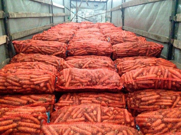 Морковь оптом овощи