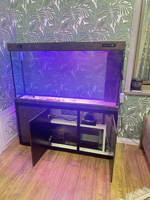 Завод аквариум продам