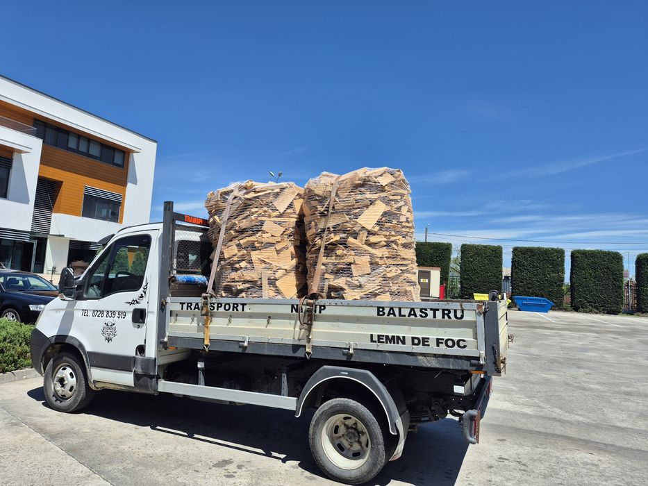 Deșeuri de fag uscate.