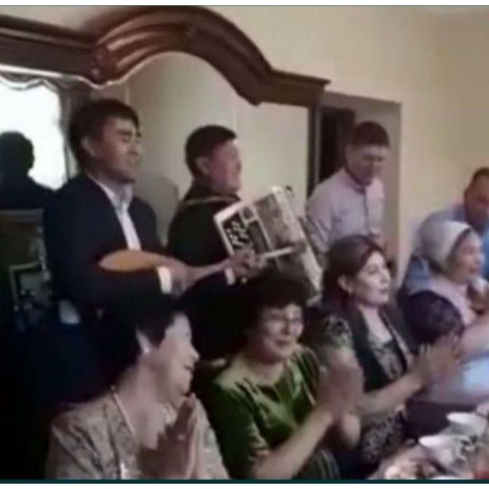 Домбра, Баян, Гитара,Музыкальная колонка, ВыПиСкА из Роддома .