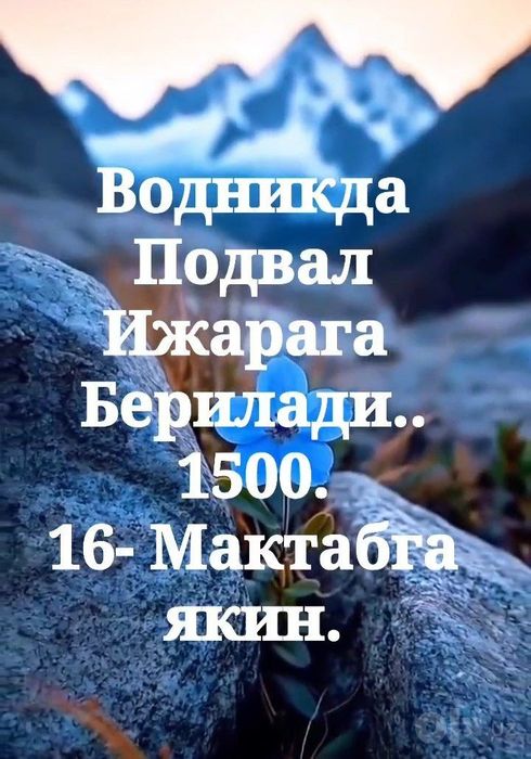 Квартиралар ижарага берилади. Подробно ичида ёзилган