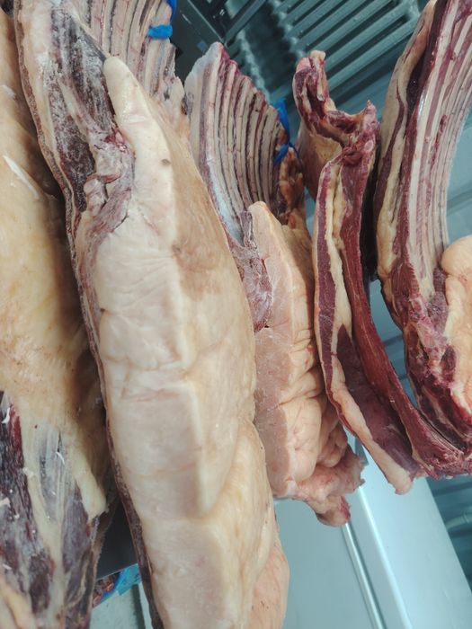 Продам Конина қазы