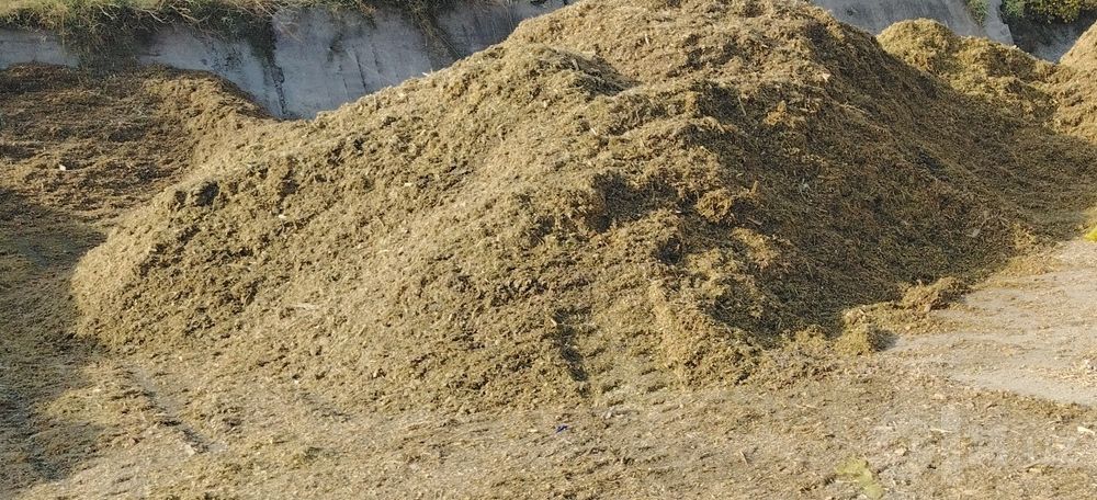 Silos sotiladi 20kg qoplangan 20000 ming sum.