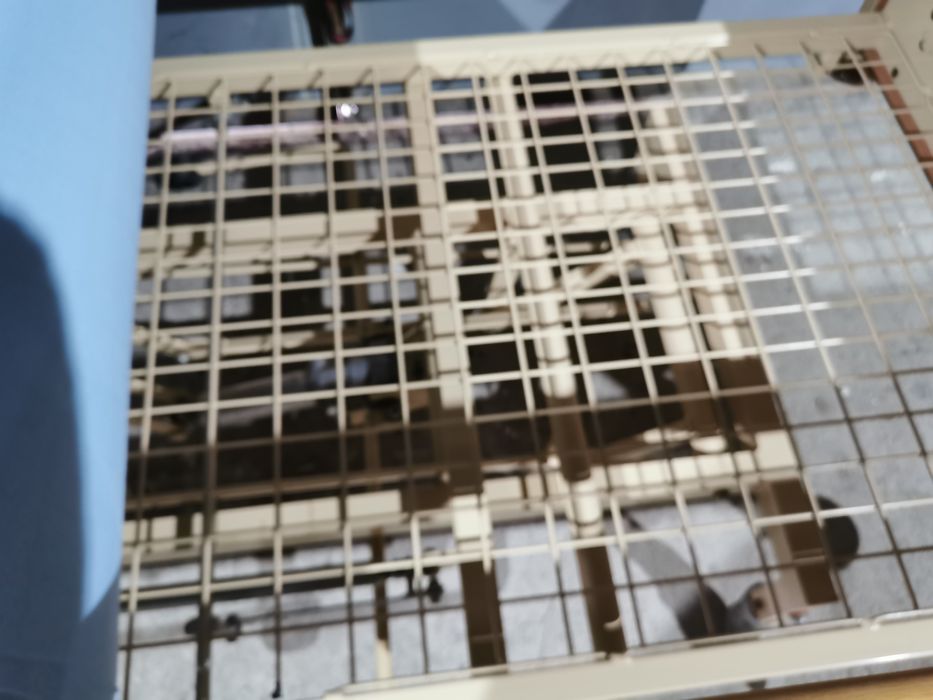 Болнично легло хидравлично