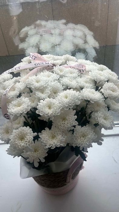 Белый хризантемы , цветы