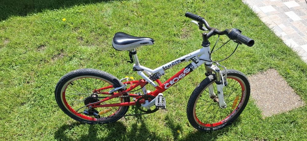 Bicicleta Cross 20