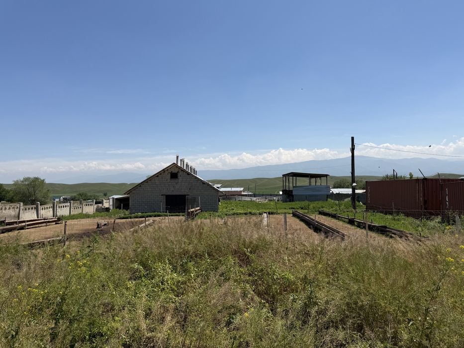 Откорм сатылады