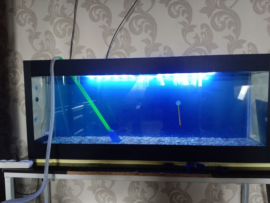 Продаю акавариум