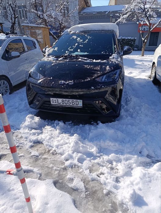 BYD SeaGull variantga