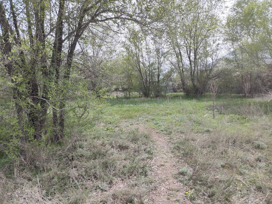 Участок, огород в п.Береке