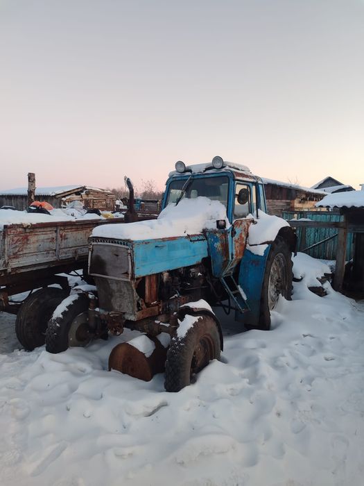 МТЗ 80 продам или обмен на жеребят