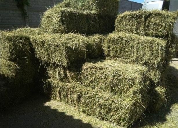 Продам тюковое сено ЗЕЛЁНЫЙ КЛЕВЕР