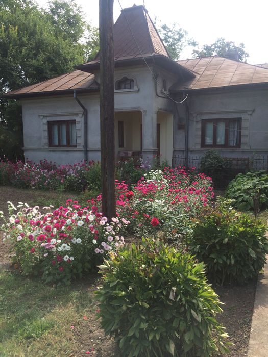 De vanzare casa plus teren