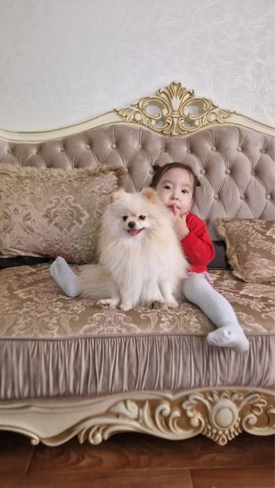 Девочка с полным пакетом документов в разведение