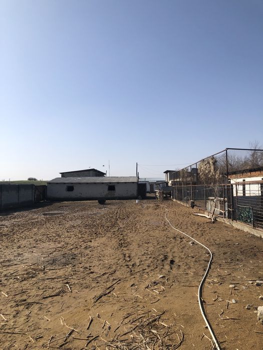 Фазенда Сатылады Откорм Баз