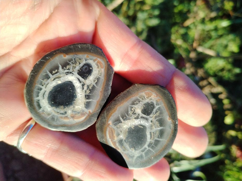 Двойка септарии от Мароко