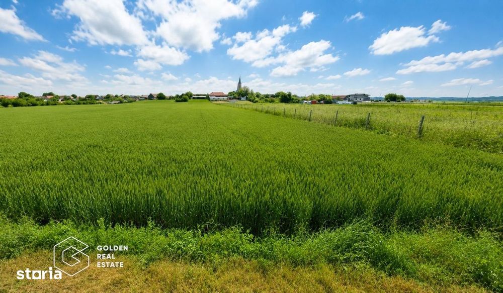Teren intravilan, 5300 mp, Localitatea Vladimirescu, comision 0%