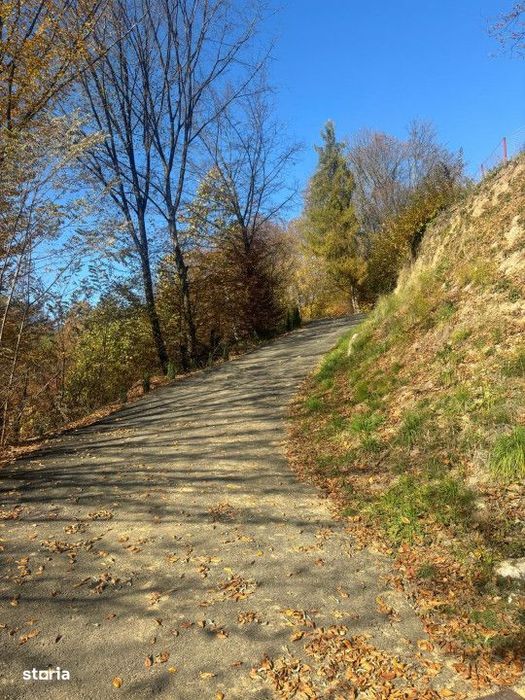 Vanzare - teren 34 ari ,  intravilan, pozitie superba