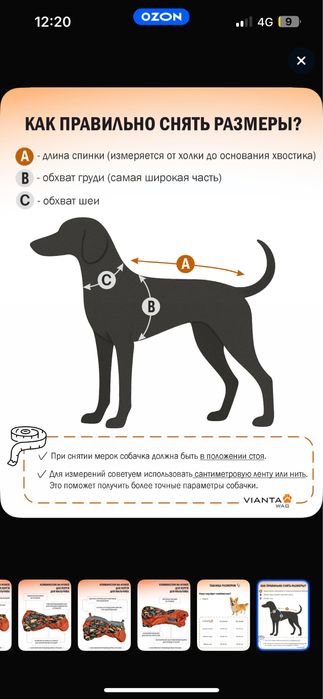 Одежда комбинезон для собак