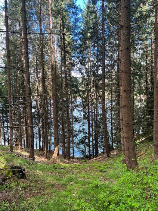 Vând o bucată de paradis pe malul Lacului Beliș - 1000 mp