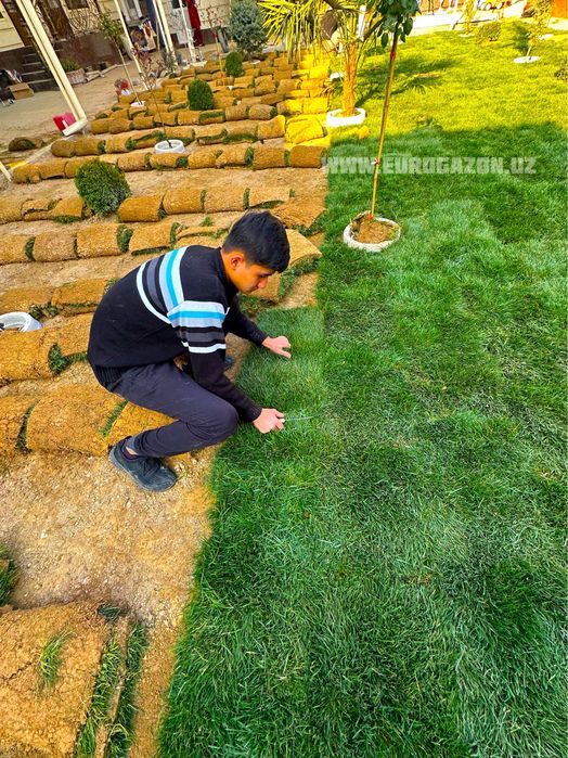 Рулонный газон доставку установка за один день