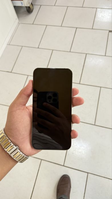 iPhone 13 Pro Max Green