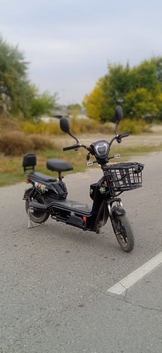 Прлдам маото велик