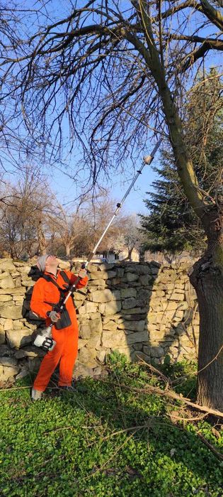 Рязане на опасни  дървета, косене на тревни площи.