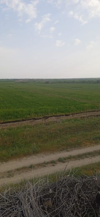 Фазенда сатылады