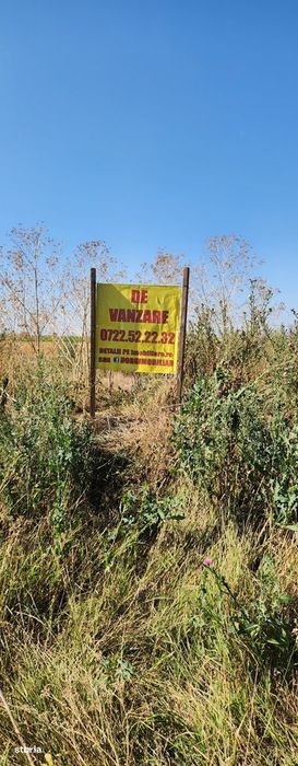 Frumusani-Pasarea,stradal la asfalt,ideala investitie!