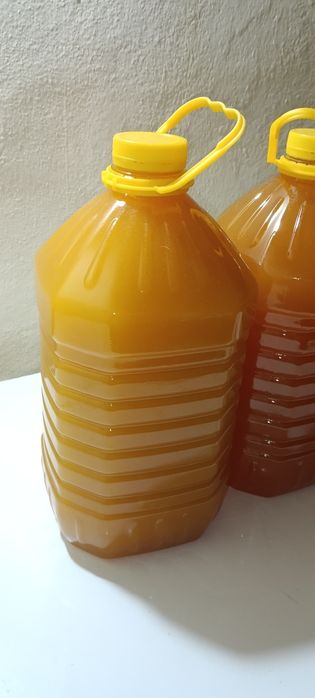 Продам мёд оптом