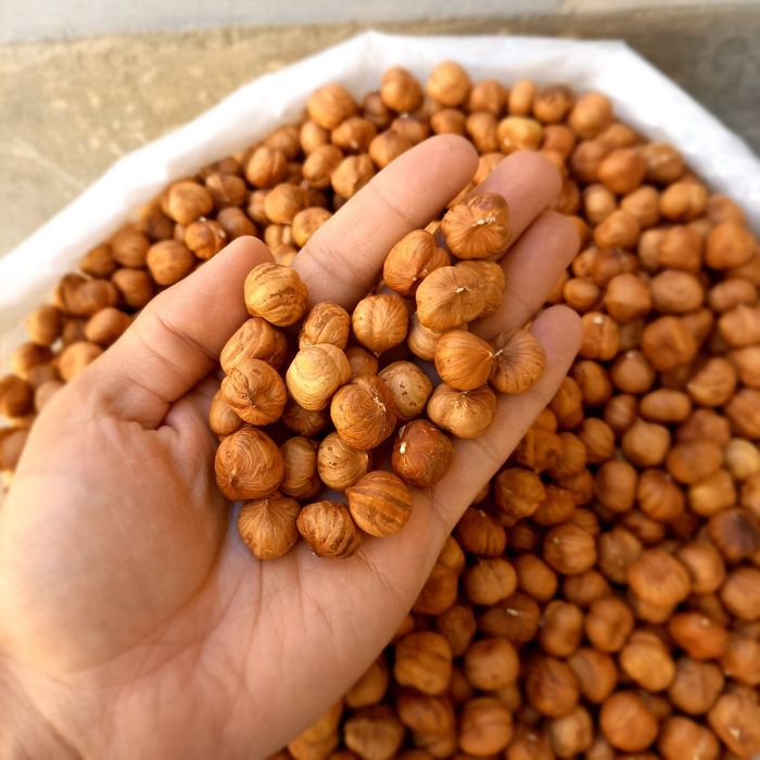 Фундук чищенный funduk tozalangan chaq chuq