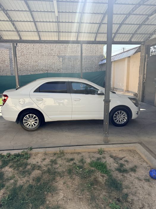 Ravon Cobalt 2018