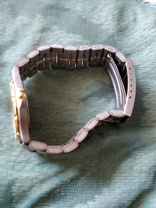 Festina titanium